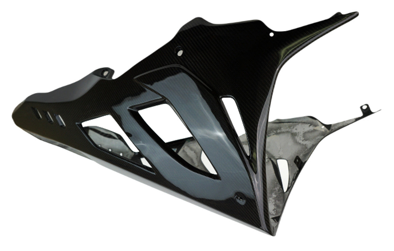 S1000RR 2023+ (Air Damper) Dry Carbon