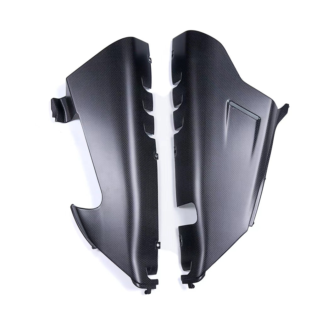 Ducati Panigale V4 V4S V4R 2018+(Belly Pan) Dry Carbon