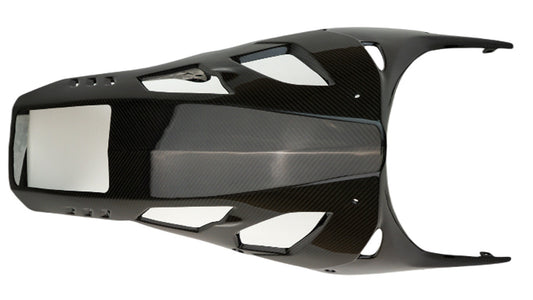 S1000RR 2023+ (Air Damper) Dry Carbon