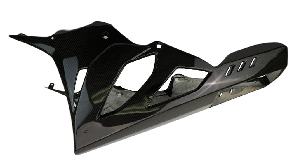 S1000RR 2023+ (Air Damper) Dry Carbon