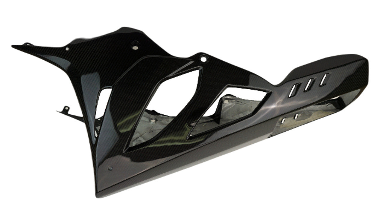 S1000RR 2023+ (Air Damper) Dry Carbon