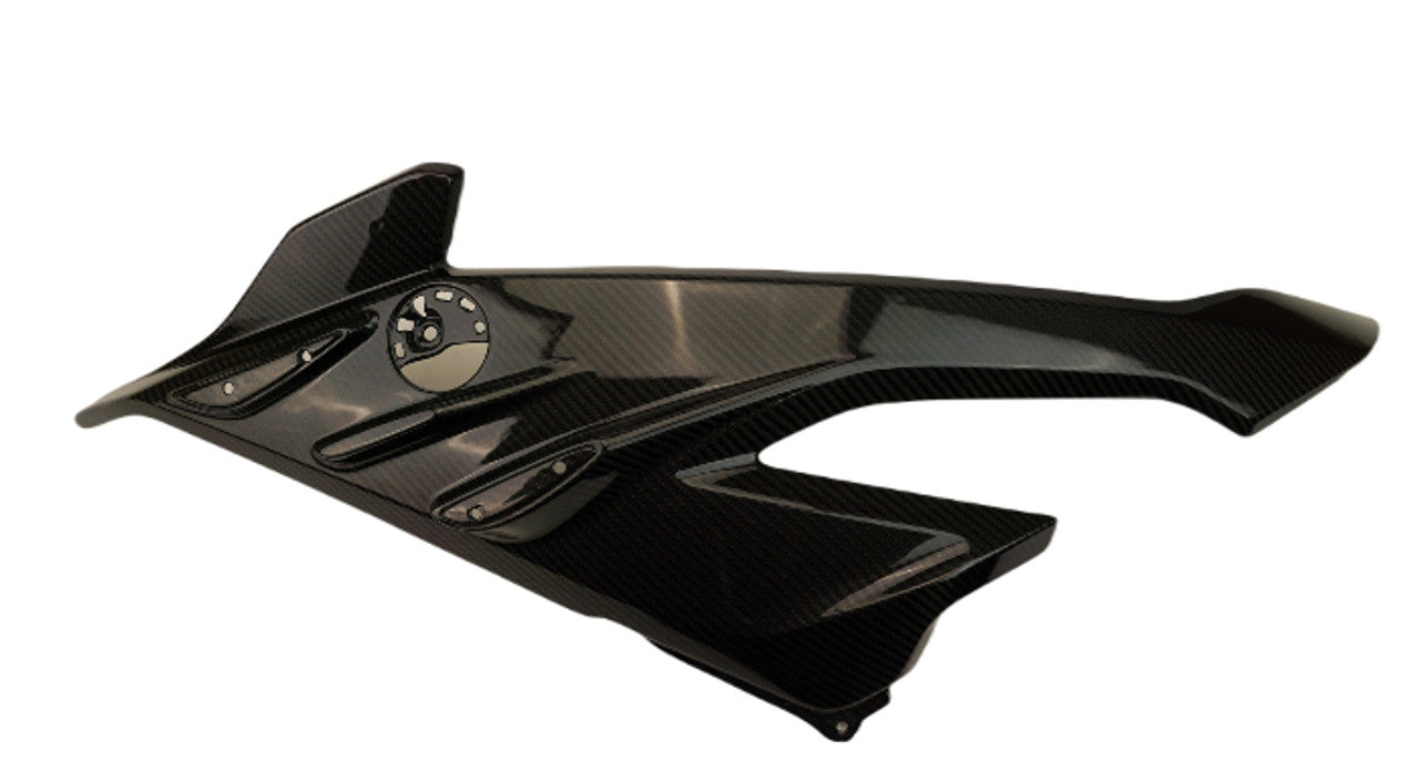 S1000RR 2023+ (Large Side Panels) Dry Carbon
