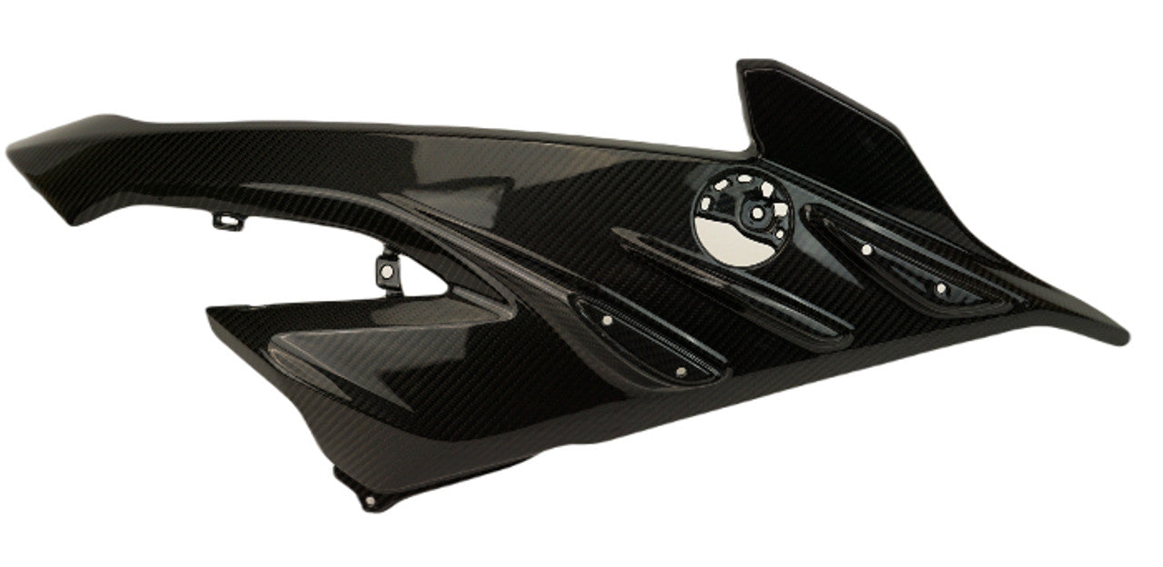 S1000RR 2023+ (Large Side Panels) Dry Carbon