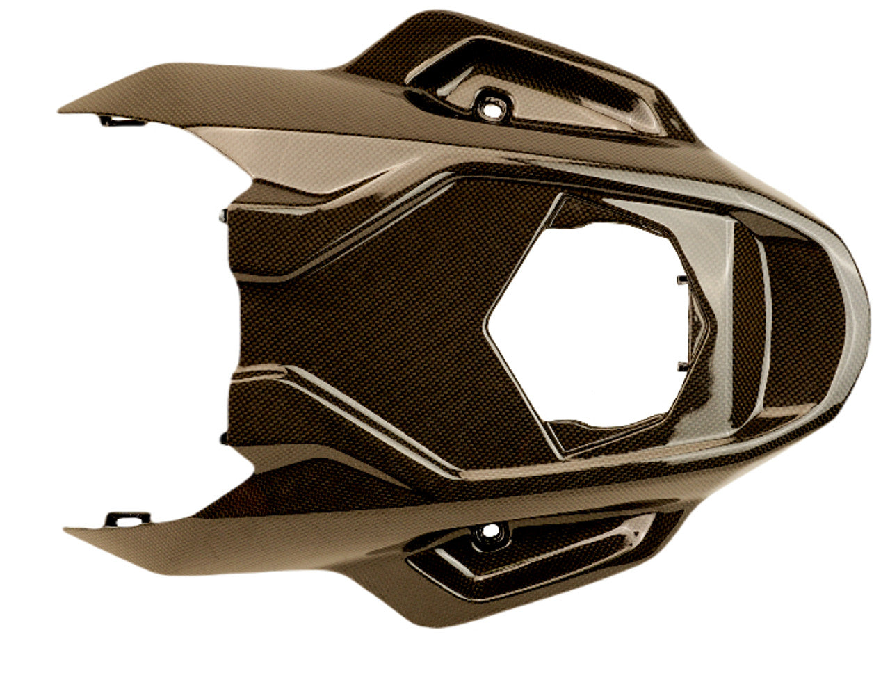 S1000RR 2023+ (Undertail) Dry Carbon