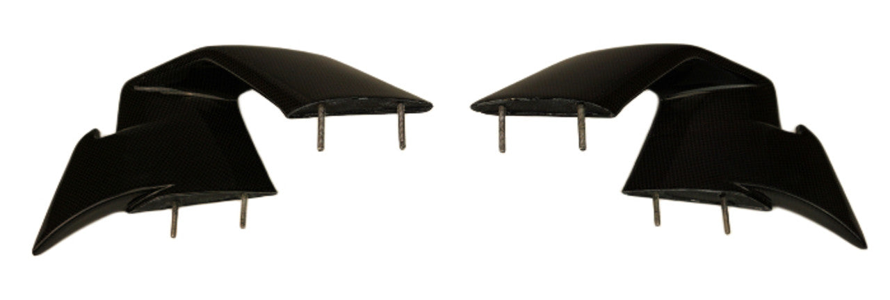 S1000RR 2023+ (Winglets ) Dry Carbon