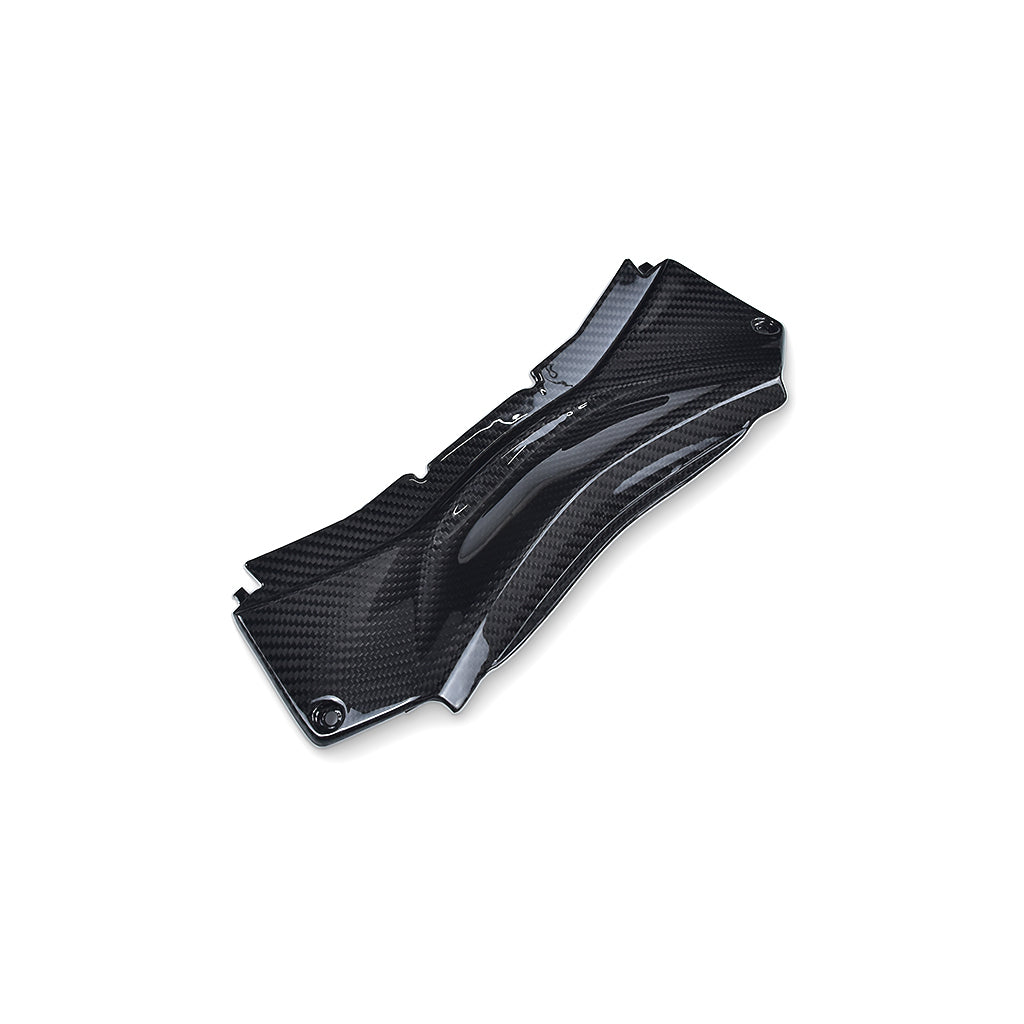 YAMAHA R3 (Rear Tail Brake Light Cover) Dry Carbon