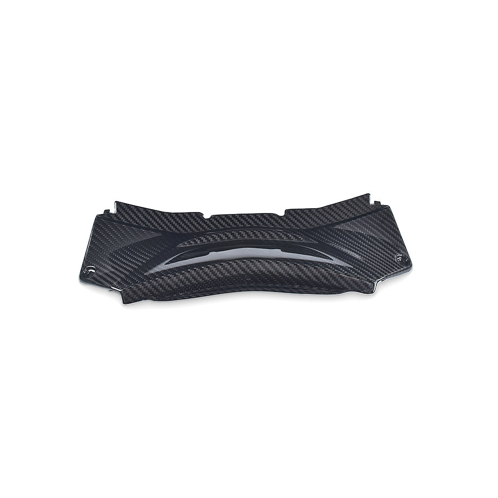 YAMAHA R3 (Rear Tail Brake Light Cover) Dry Carbon