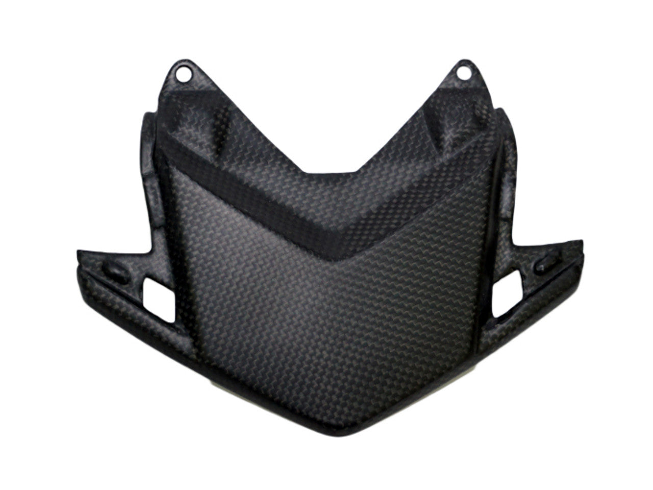 CBR1000RR 2017+ (Tail Light Cover) Dry Carbon