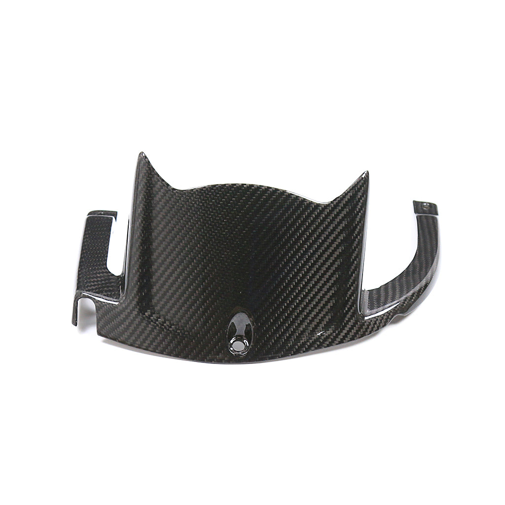 Kawasaki ZX10R 2021-2025 (Mud Guard) Dry Carbon
