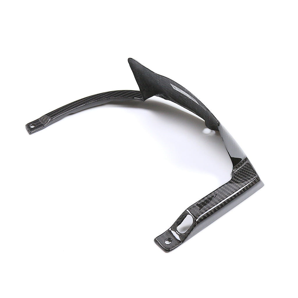 Kawasaki ZX10R 2021-2025 (Mud Guard) Dry Carbon