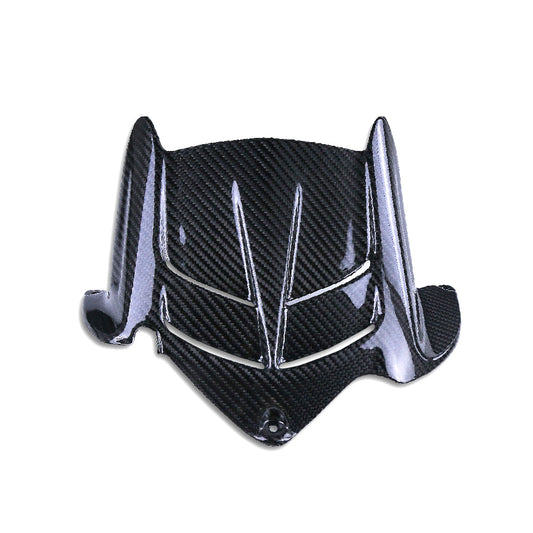 Kawasaki ZX6R 2024+ (Mudguard) Dry Carbon
