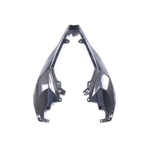 Kawasaki ZX10R 2021-2025 (Tail fairing) Dry Carbon