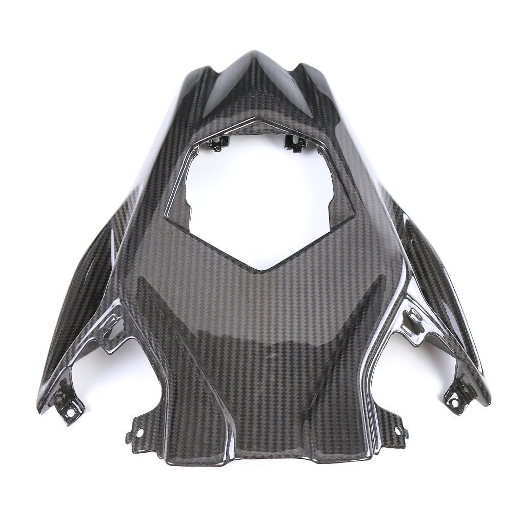 S1000RR 2019-2022 (Rear Under Tail Seat Cover Panel) Dry Carbon