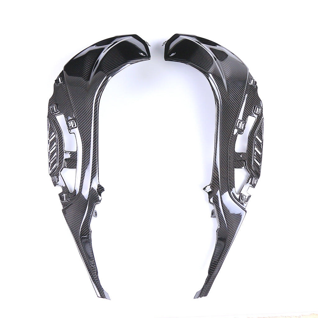 S1000RR 2019-2022 (Tank Side Fairing) Dry Carbon