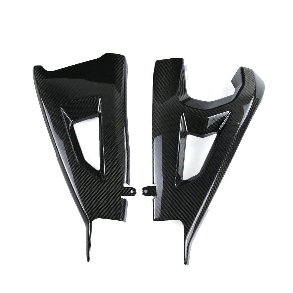 Kawasaki ZX10R 2021-2025 (Swingarm Cover) Dry Carbon