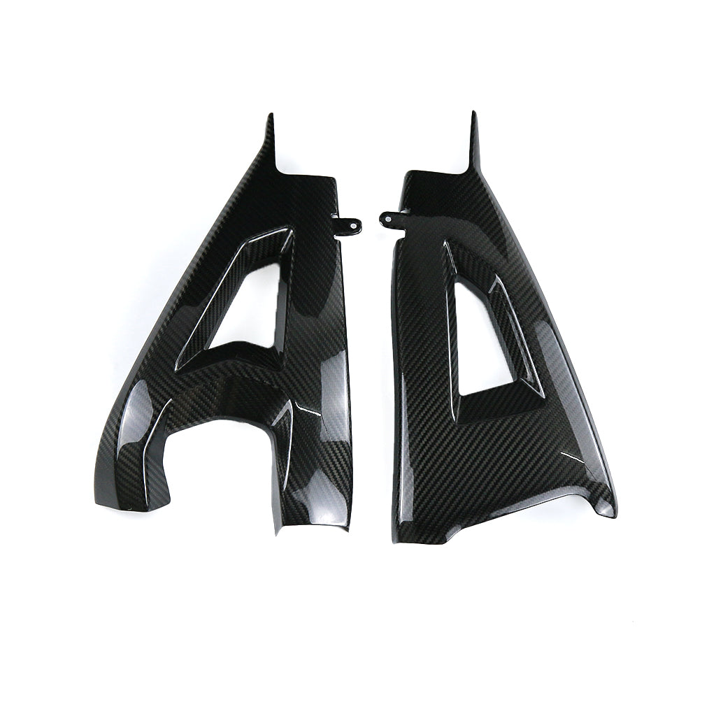 Kawasaki ZX10R 2021-2025 (Swingarm Cover) Dry Carbon