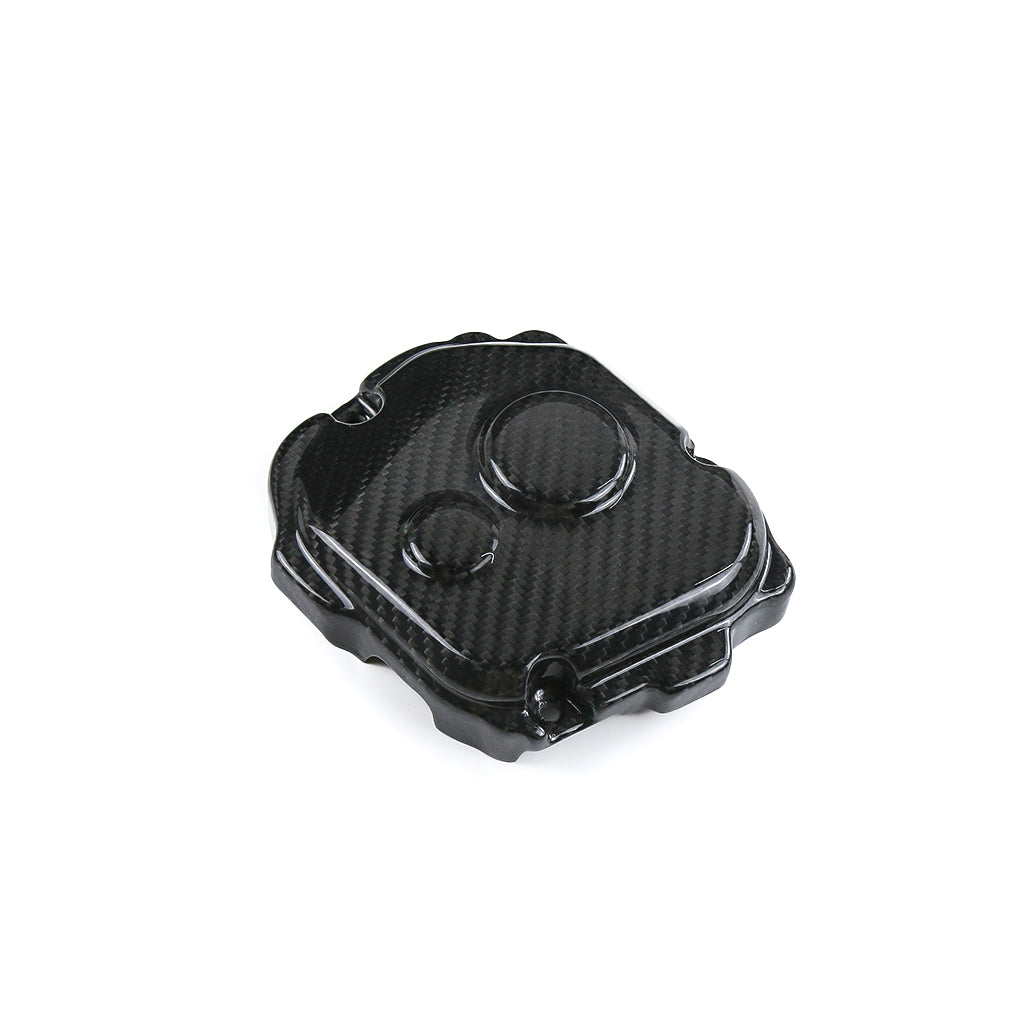 Kawasaki ZX10R 2021-2025 (Engine Covers) Dry Carbon