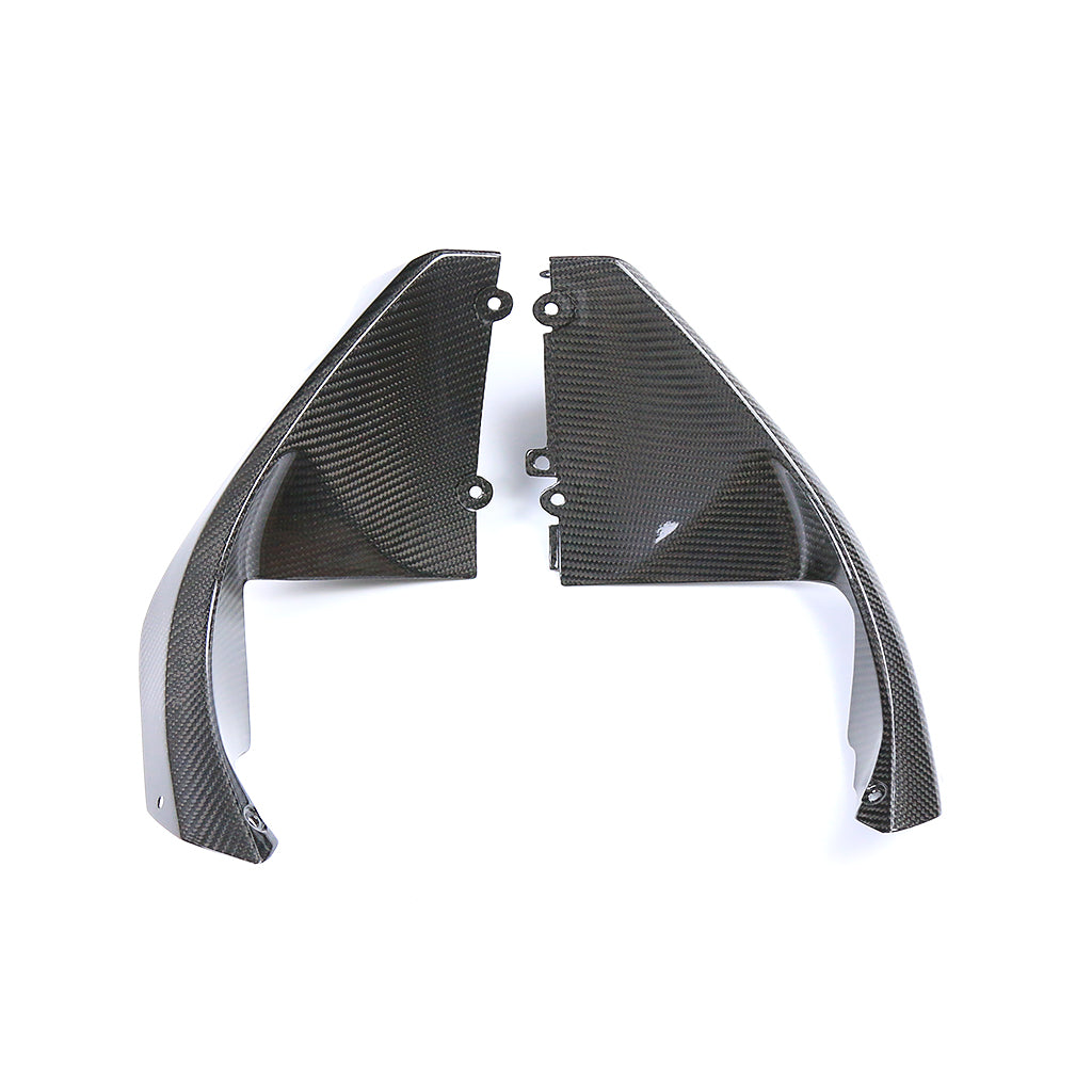 Kawasaki ZX10R 2021-2025 (Side Panel) Dry Carbon