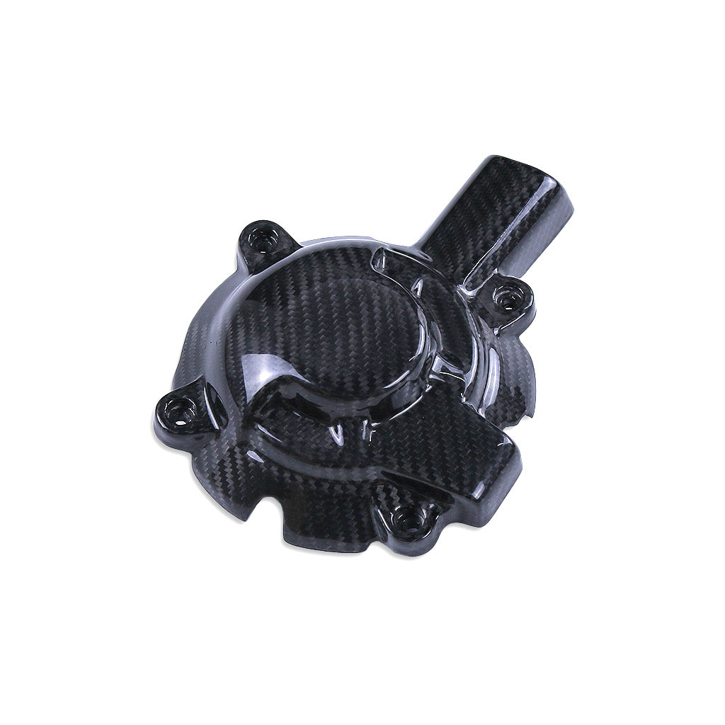 S1000RR 2019-2022 (Engine Cover) Dry Carbon