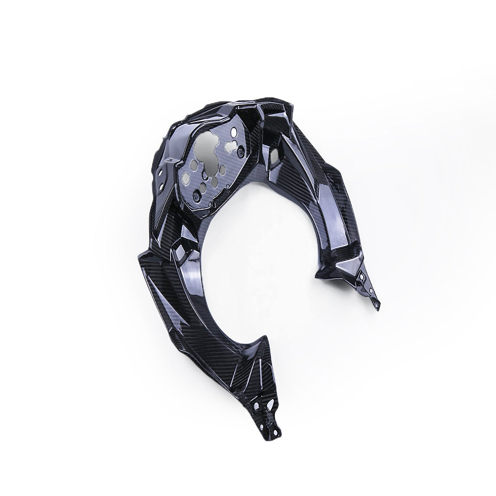 Ninja 400 (Frame Cover) Dry Carbon