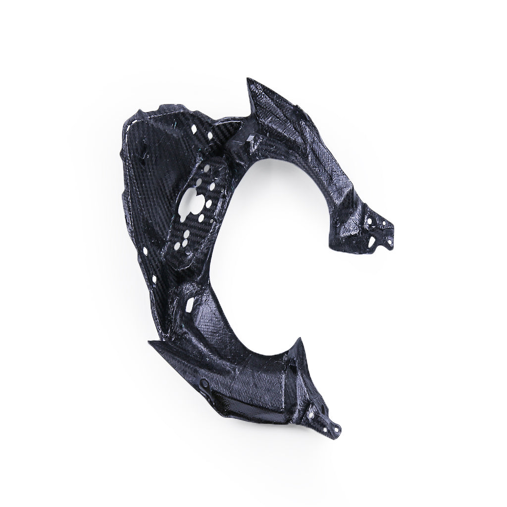 Ninja 400 (Frame Cover) Dry Carbon