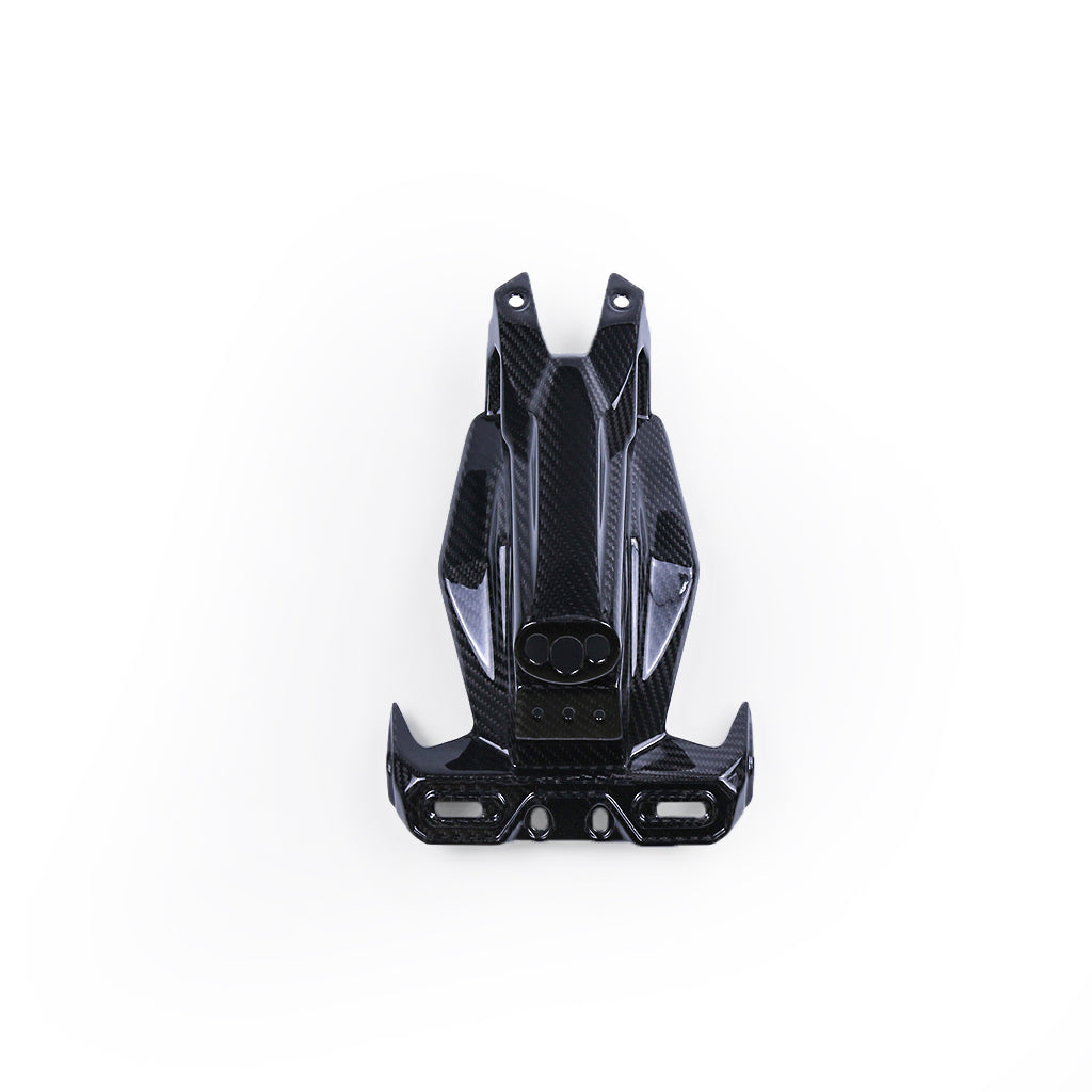 Ninja 400 (License Plate Bracket Fender Eliminator) Dry Carbon