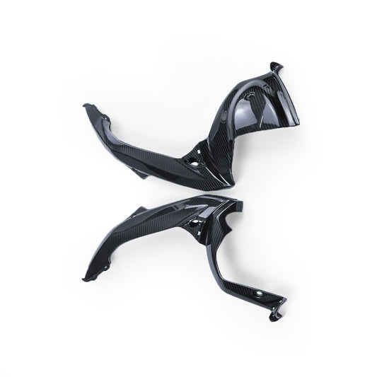 GSXR1000 2017+ (Frame Cover Side Panel) Dry Carbon