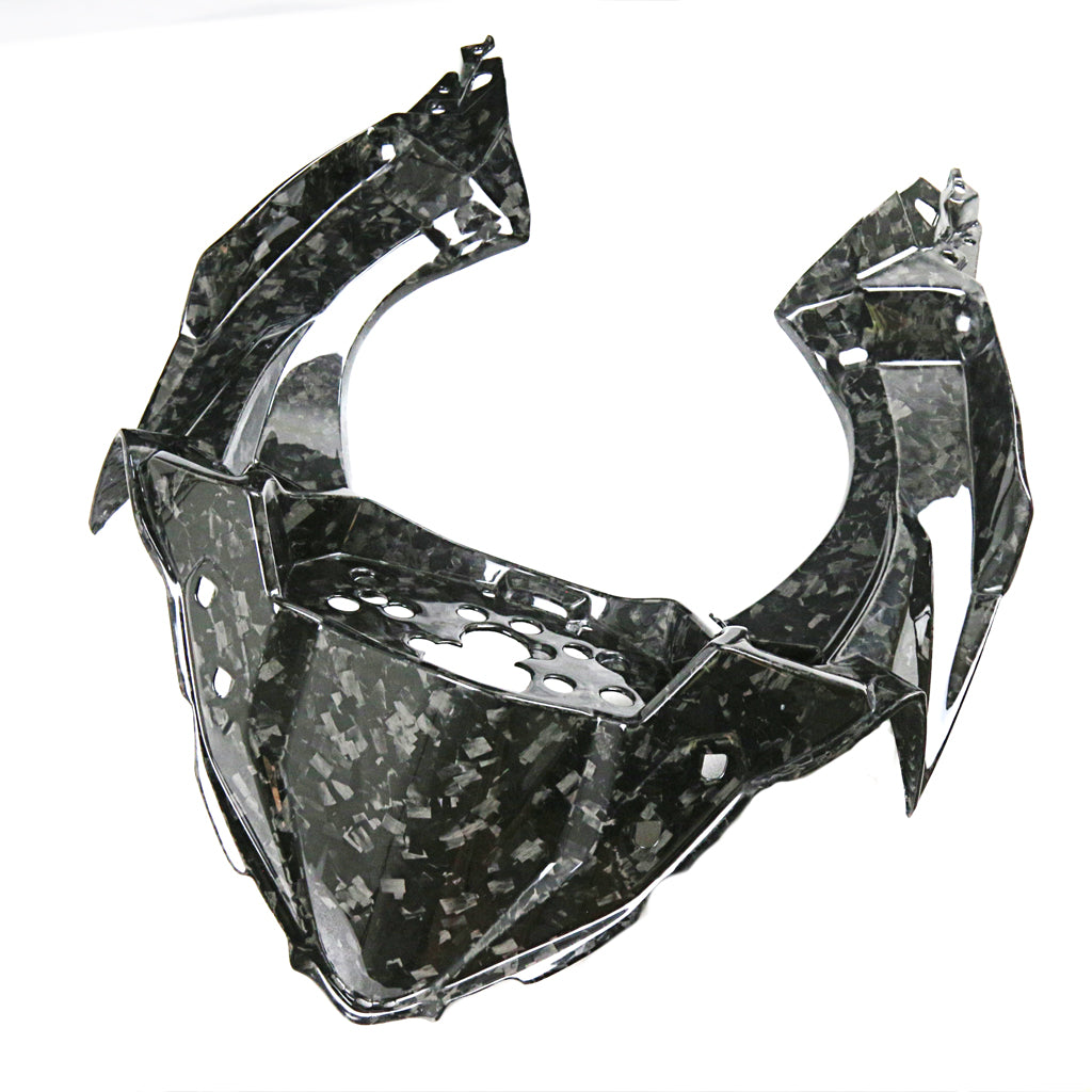 Ninja 400 (Frame Cover) Dry Carbon