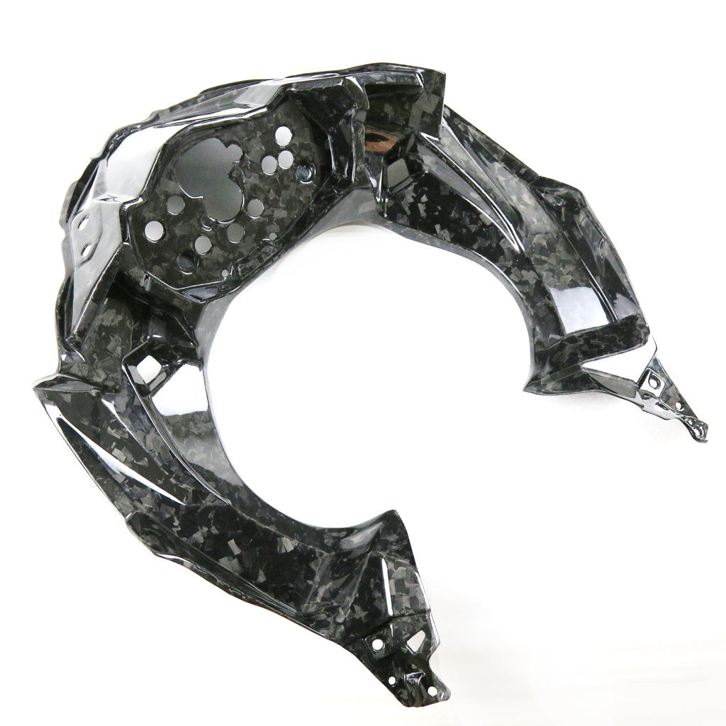 Ninja 400 (Frame Cover) Dry Carbon