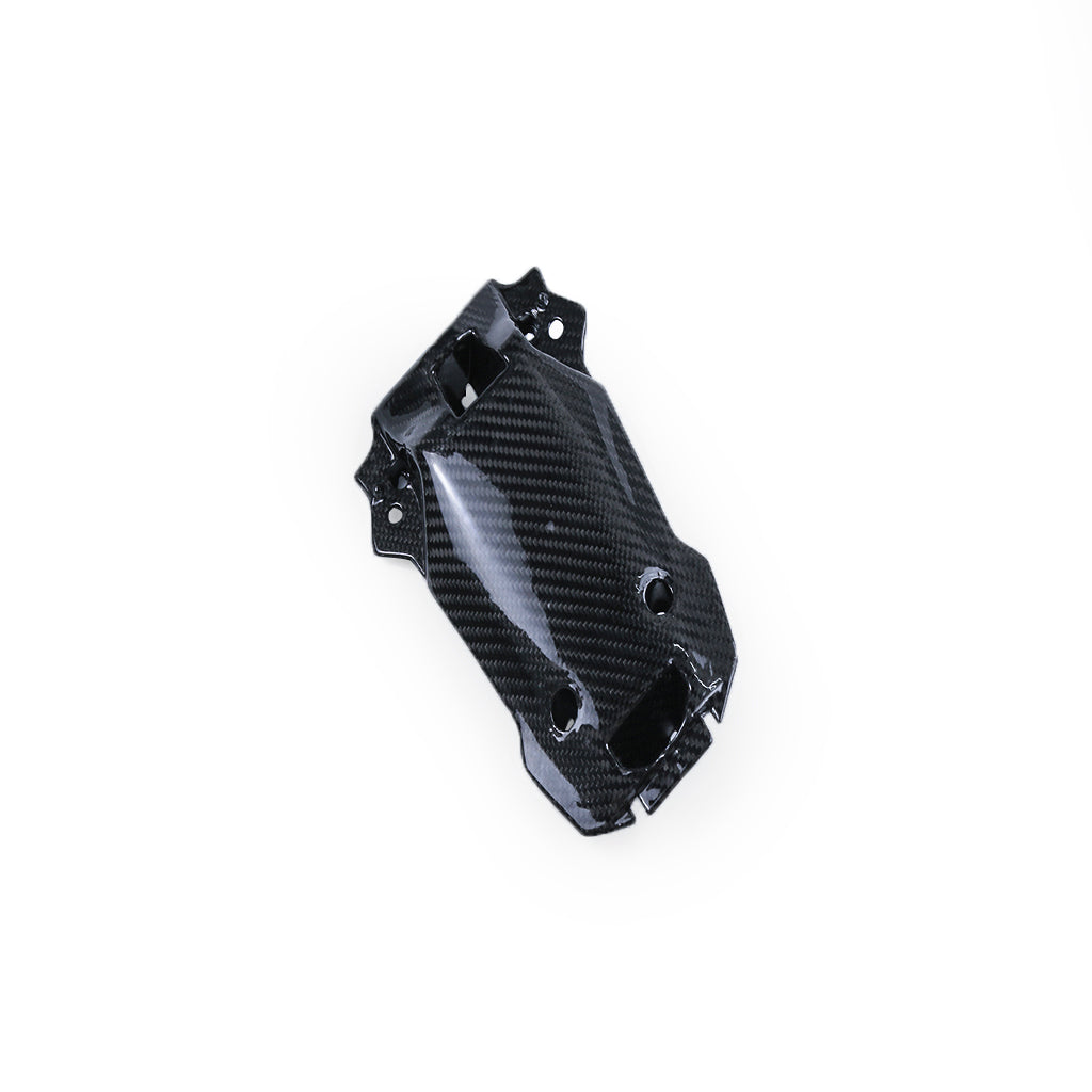 S1000RR 2019-2022 (Tail Cowl) Dry Carbon