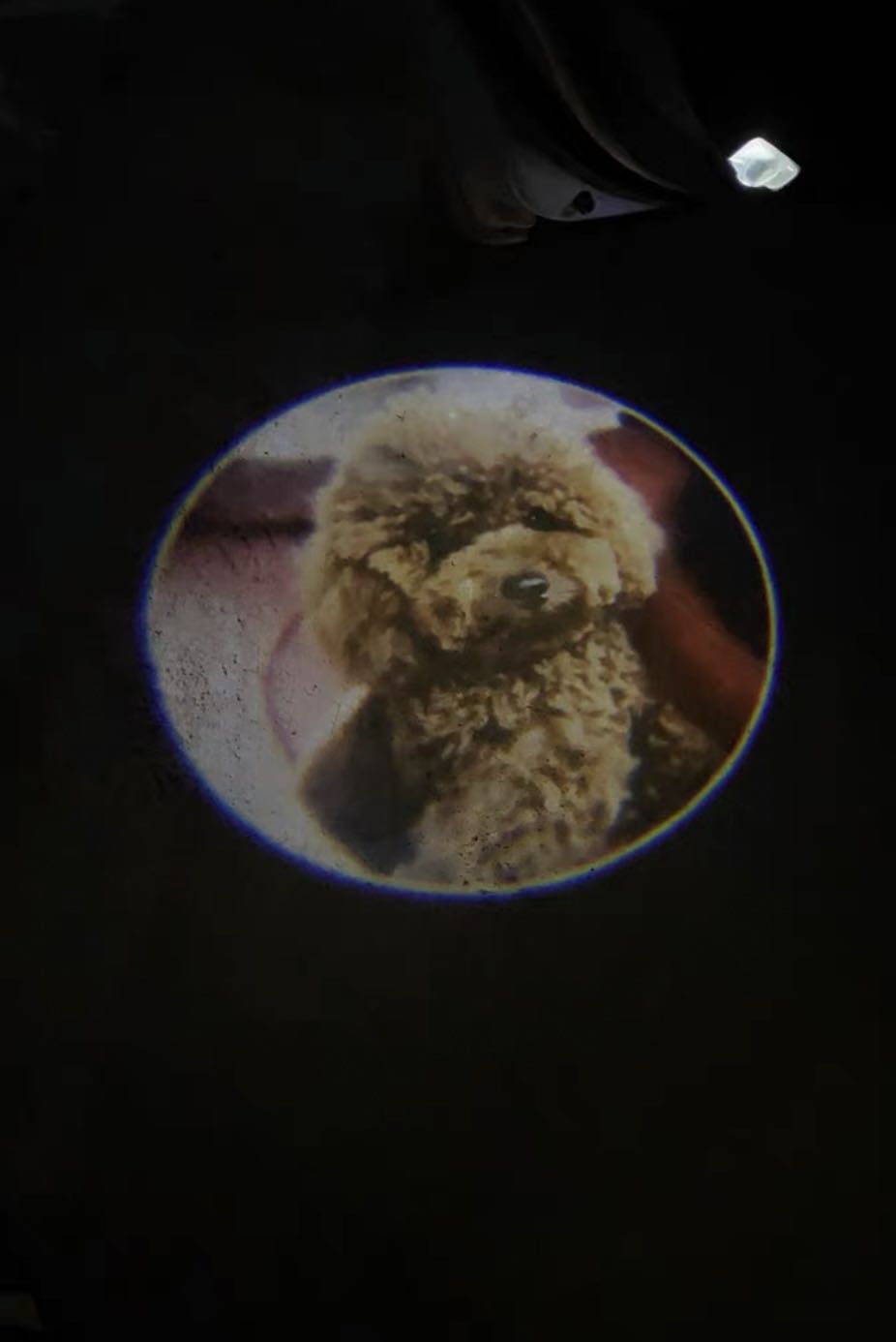 Customize Welcome Light Projector