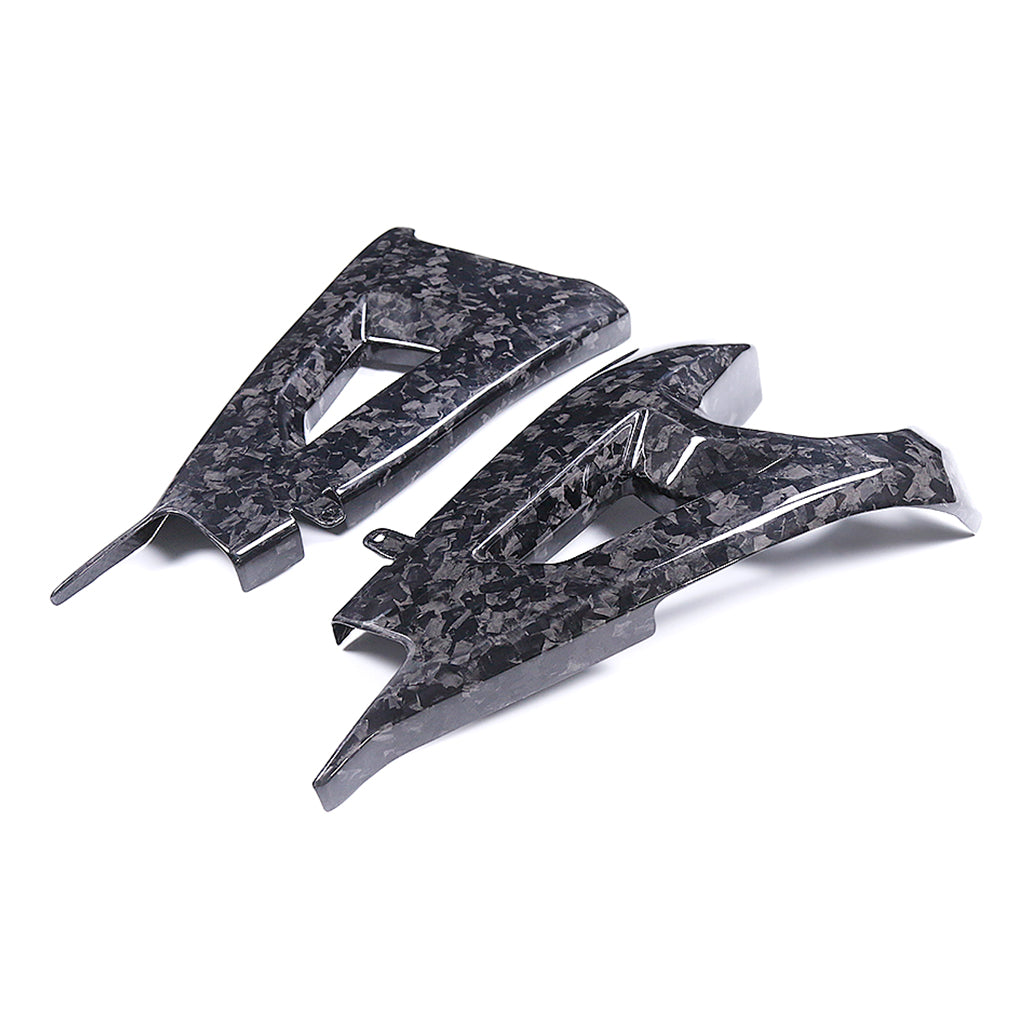 Kawasaki ZX10R 2021-2025 (Swingarm Cover) Dry Carbon