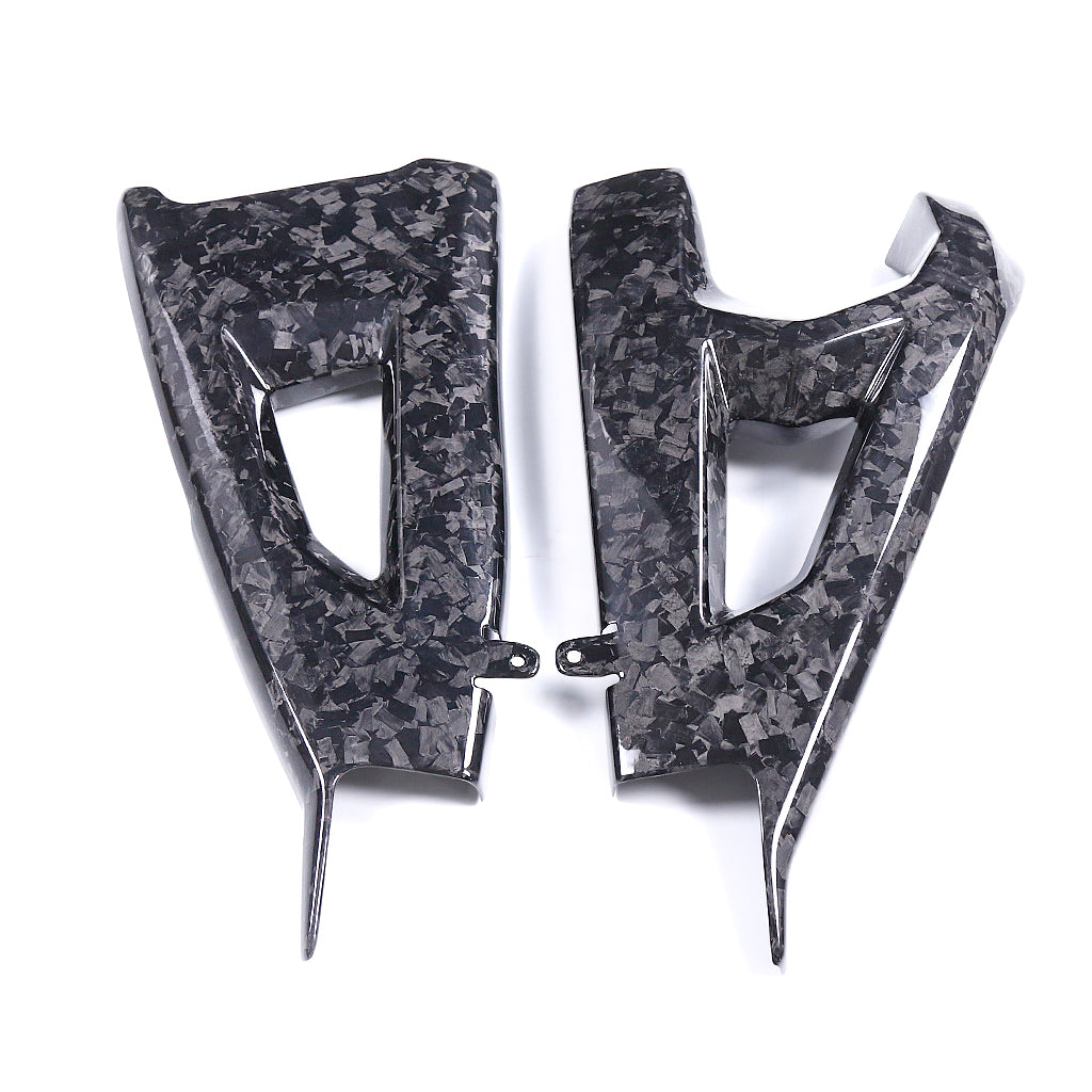 Kawasaki ZX10R 2021-2025 (Swingarm Cover) Dry Carbon