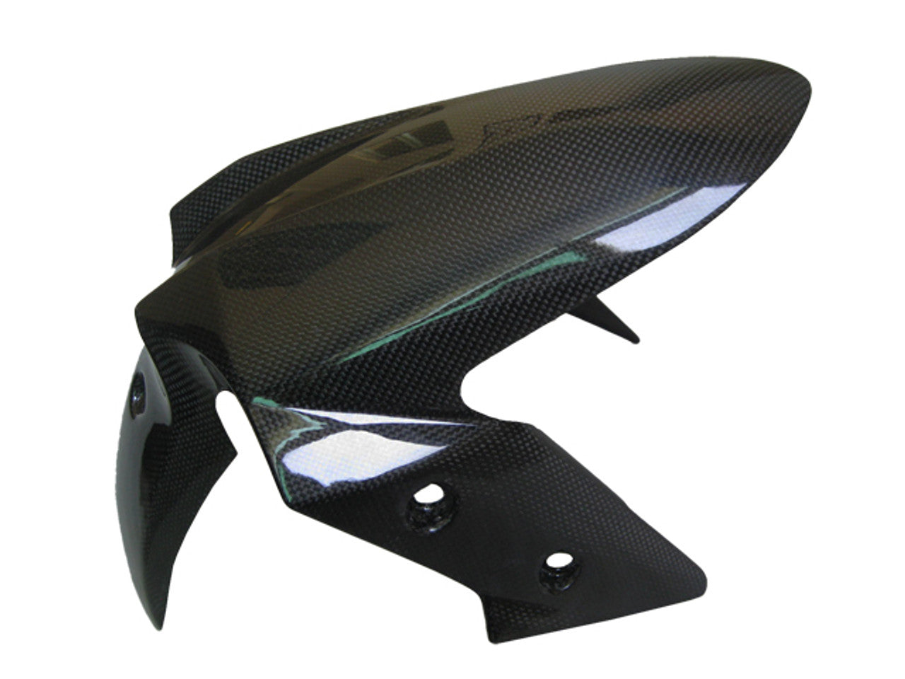Ninja 300 (Front Fender) Dry Carbon