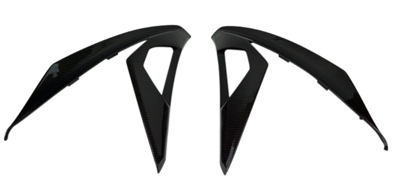 Ninja 300 (Large Side Panels) Dry Carbon