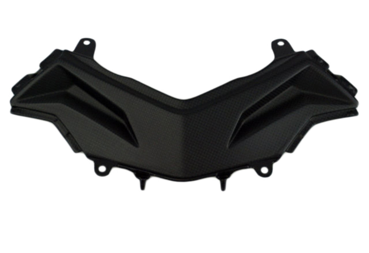 Ninja 300 (Rear Seat Tail Panel) Dry Carbon