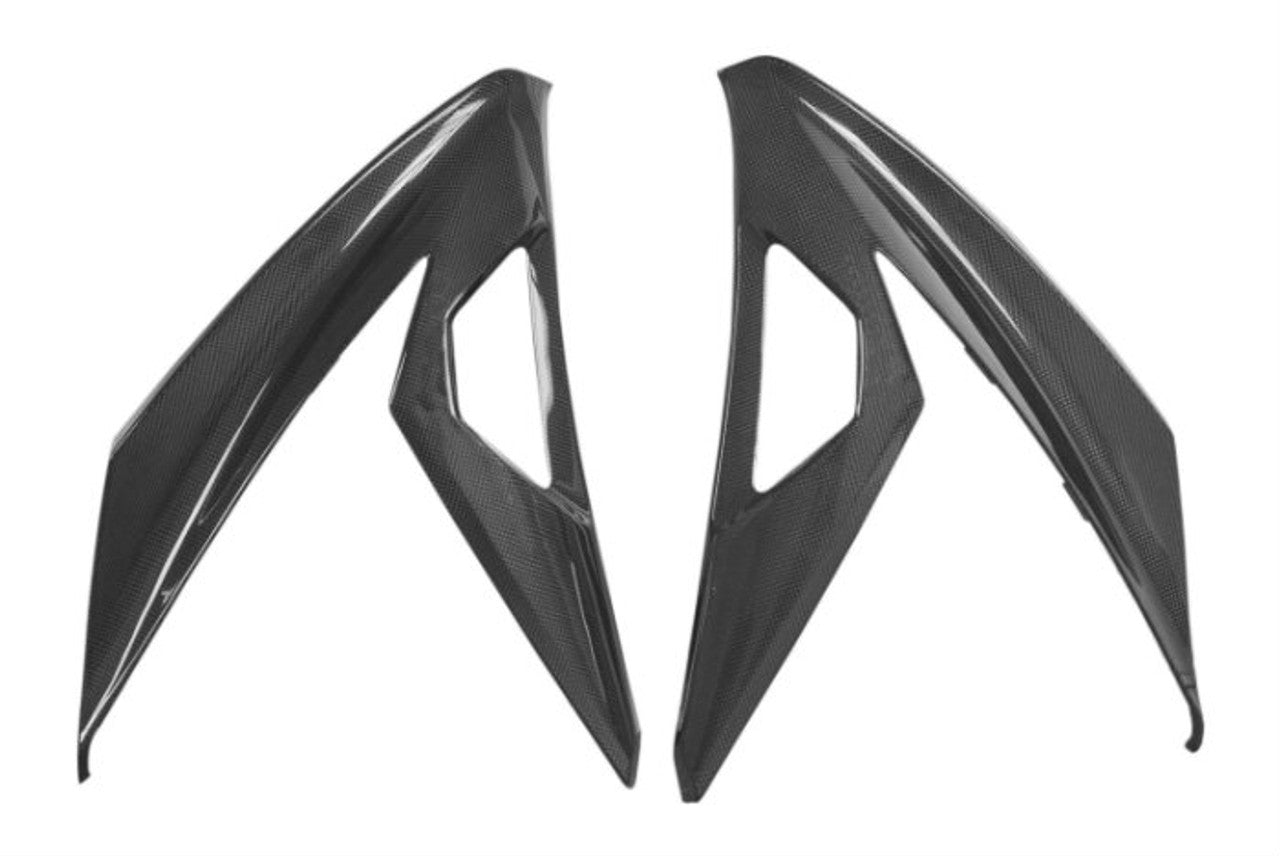 Ninja 300 (Large Side Panels) Dry Carbon